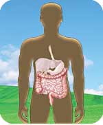 Intestinal disorders