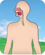 Nose and throat disorders