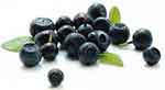 Acai berries are a rich source of anthocyanins