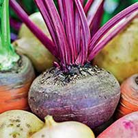Beetroot