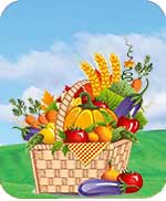 Colourful fruit basket