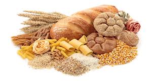 Wheat and bread