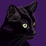 Black cat