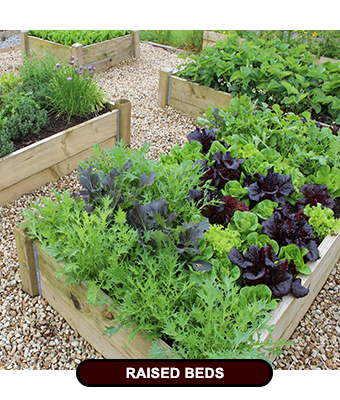 Raised vegetable bed