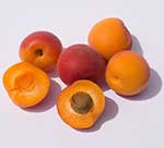 Apricots
