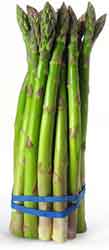 Bunch of asparagus