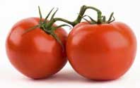 Tomatoes